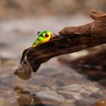 Spinmad spinnertail BIG 4gr - imagine 9