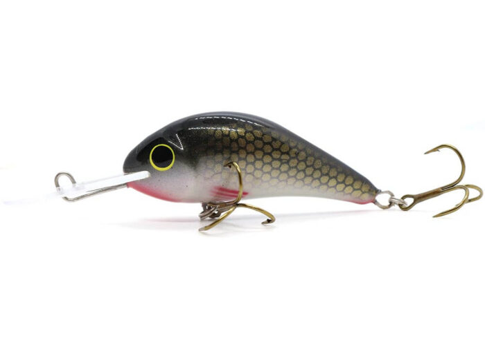 Gloog Parys 50N, 5cm, 5gr (Floating), RGF (Roach Green Fluo) - imagine 2