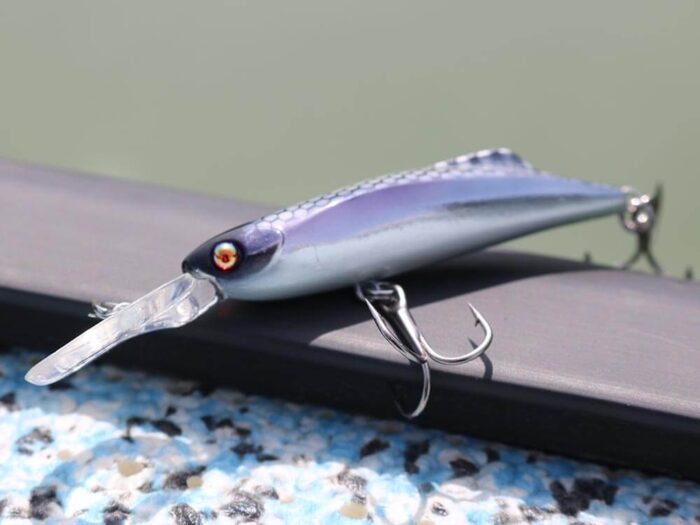 Damiki SOKILL-55 5.5CM, 4.6Gr (Suspending), 206D (Mat Tiger) - imagine 6