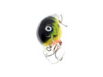Vidra Lures Nautilus SR (Shallow Runer) 6cm, 16gr, Floating, FP (Fire Perch) - imagine 4