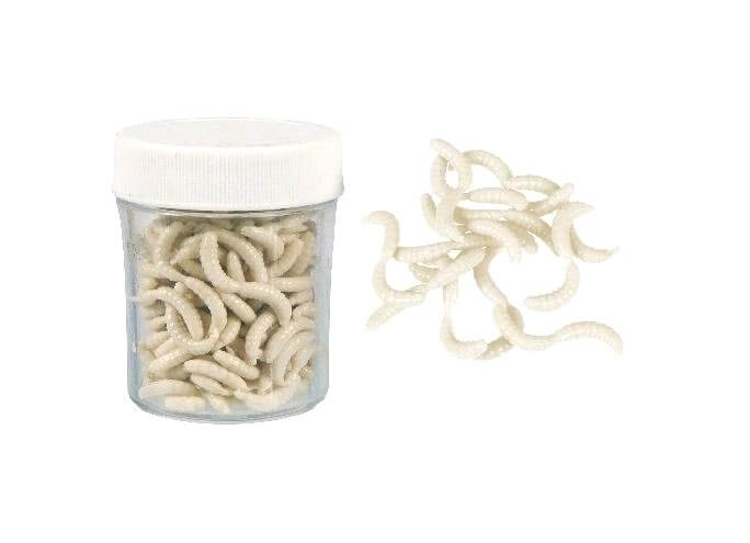 333000001 Konger viermi artificiali albi, aroma maggot